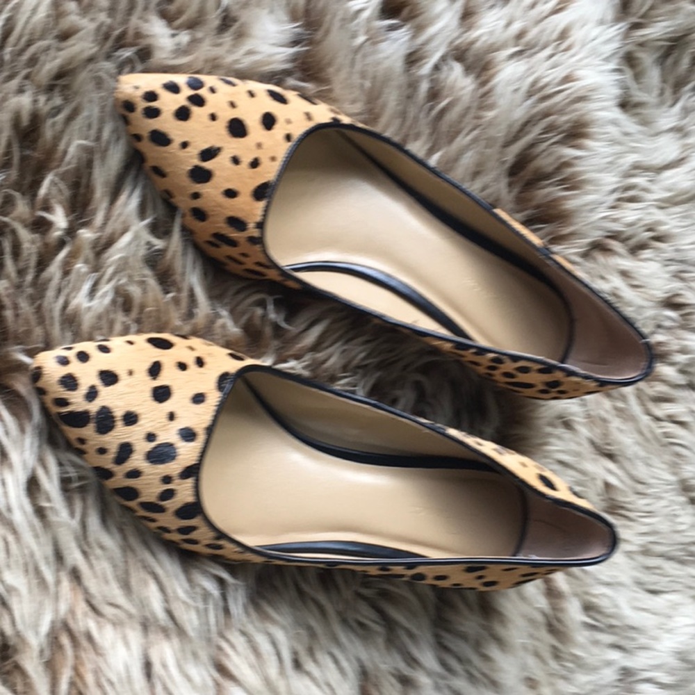 Ann Taylor Animal Print Kitten Heel Pumps